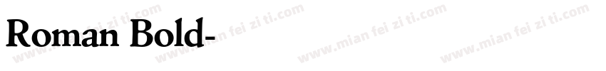 Roman Bold字体转换